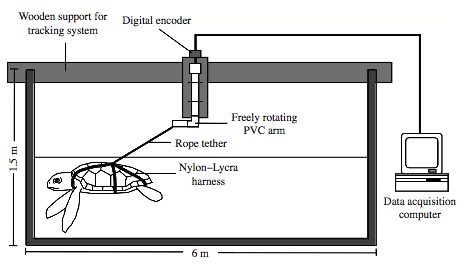 Diagram of a magnetic head for rope testing.