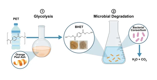 A graphical representation of the process for degrading PETs