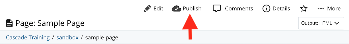 A screen shot highlighting the publish button above the page preview.