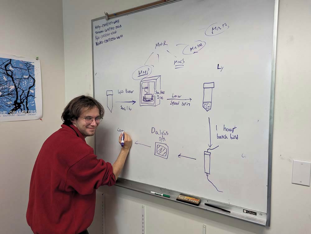 A student drawing diagrams on a whiteboard