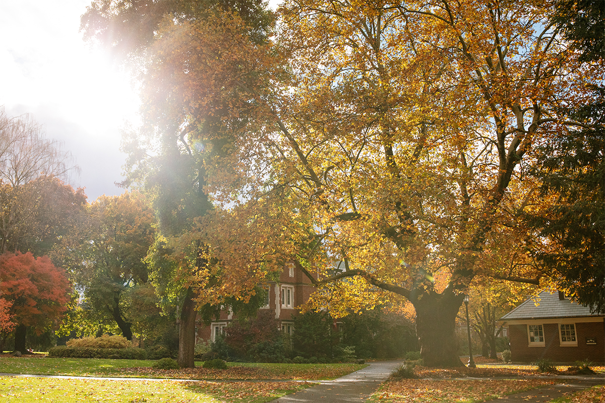 Reed's Old Dorm Block with sunshine reflecting off of fall foliage. 