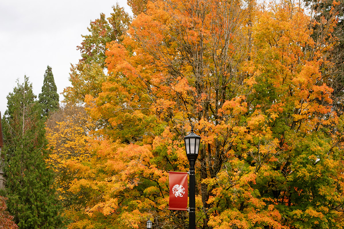 fall folliage on Reed campus with a bannered lightpost in the foreground