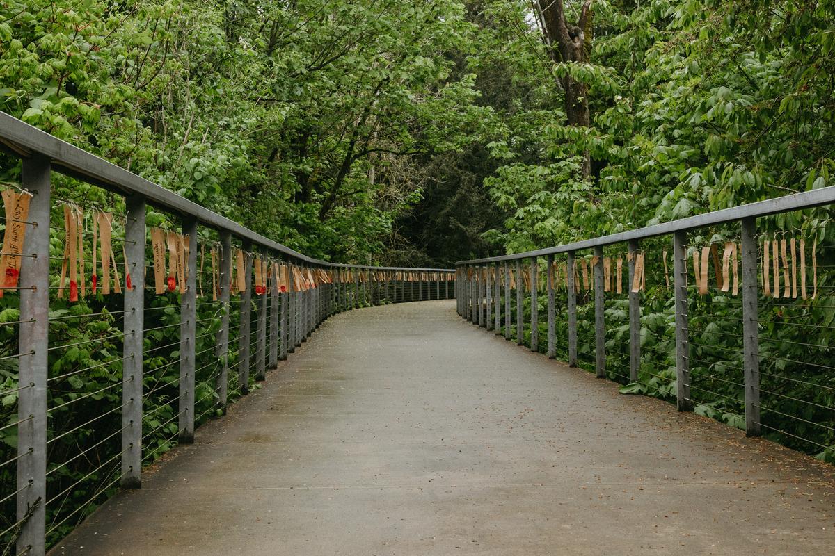 Weathergrams line the Bouncy Bridge on a rainy spring day.