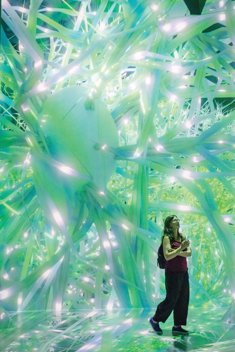 Gina Turrigiano ’84 at the Life of a Neuron exhibit at the Artechouse in New York City in 2022. In her own work, Gina goes inside the mammalian brain to better understand its plasticity and stability.